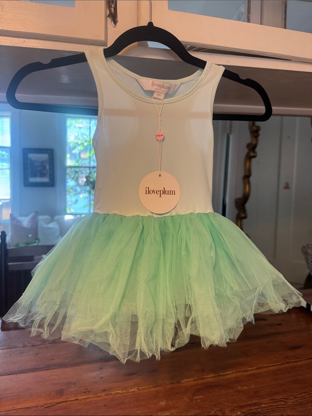 iloveplum Mint Green Tutu Dance Dress for Kids